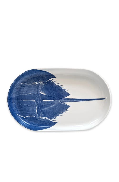 Caskata Horseshoe Crab Large Coupe Oval Platter In Blue