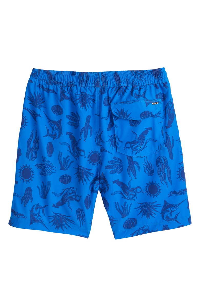 Hurley Danube Volley Swim Shorts, Alternate, color, Blue / White