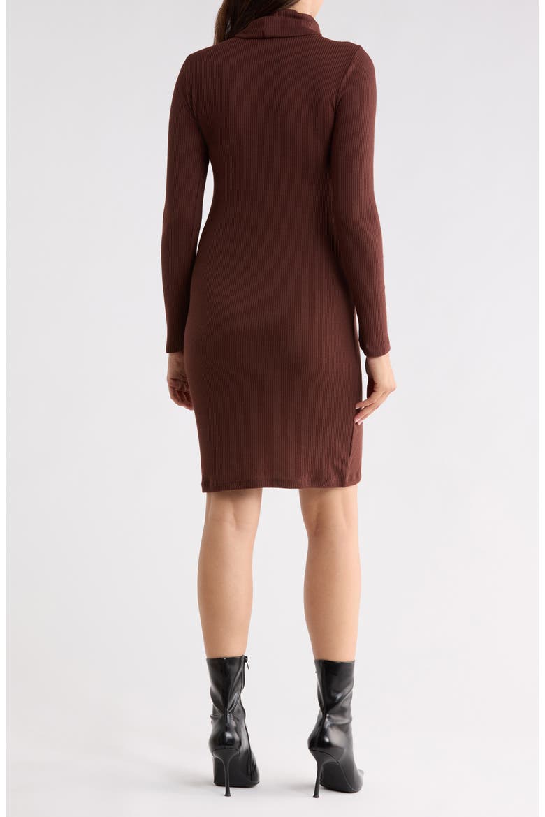 Rib Knit Turtleneck Dress, Alternate, color, BURGUNDY