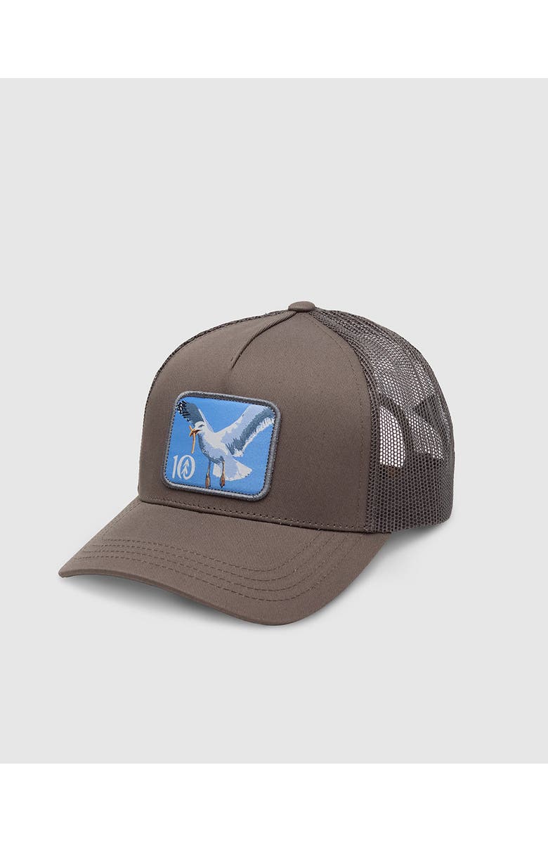 tentree Lake Logo Altitude Hat, Main, color, Timber/Seagull
