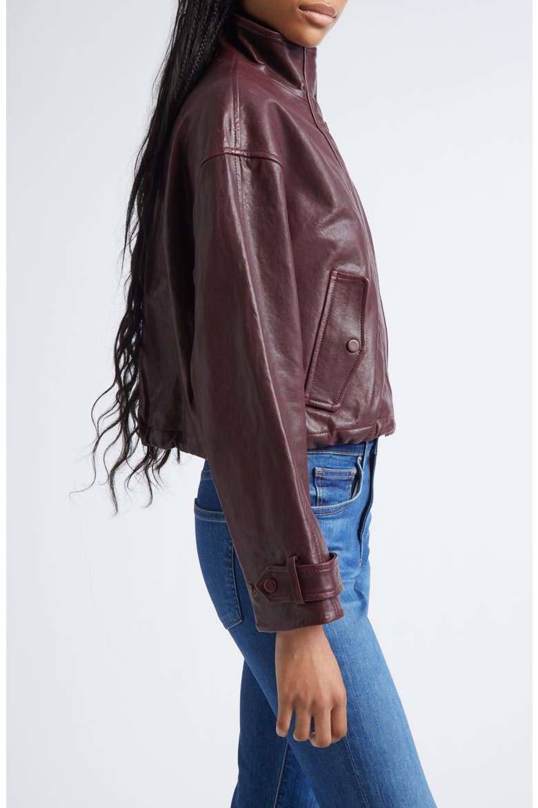 Bateman Leather Jacket, Alternate, color, RAISIN