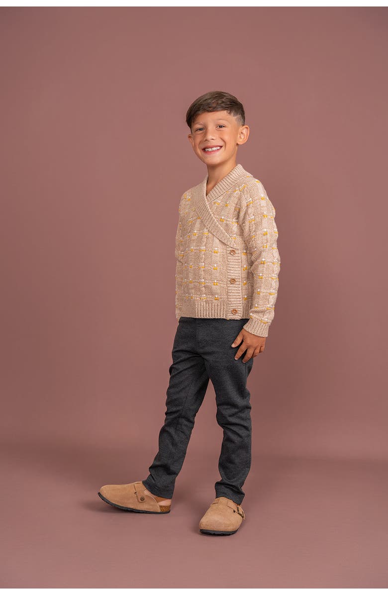 Mr. Mr. Shawl Collar Textured Cable Knit Cardigan, Alternate, color, Dark Almond