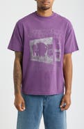 SANTO STUDIO Elephant Quotes Graphic T-Shirt