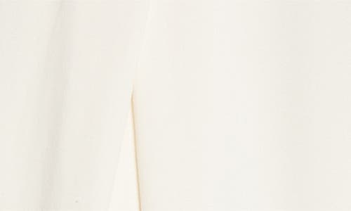 Ramy Brook Marigold Pleat Front Pants In Neutral