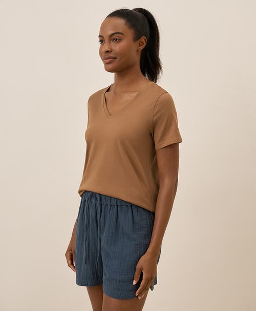 Pact Organic Cotton Softspun V-neck Tee In Brown