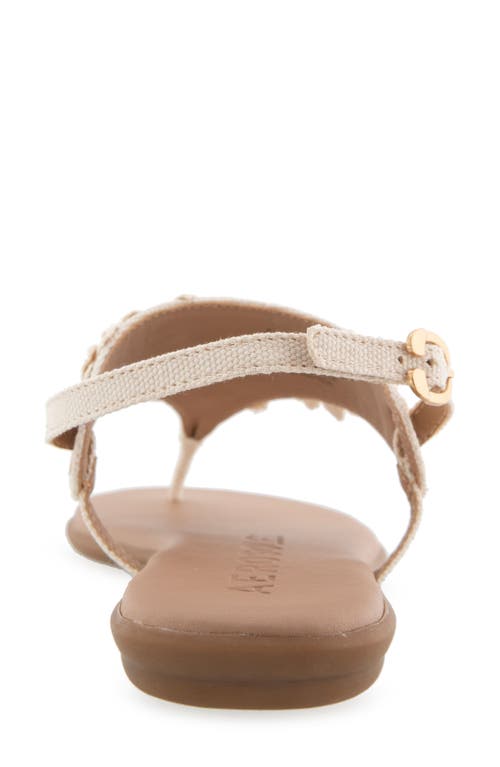 AEROSOLES AEROSOLES CONNIE FLOWER SLINGBACK SANDAL