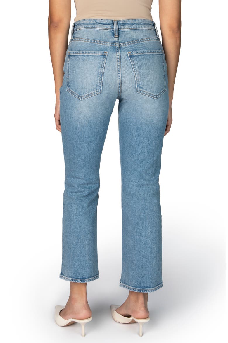 The Gabi Petite Ankle Straight Leg Jean, Alternate, color, Sky