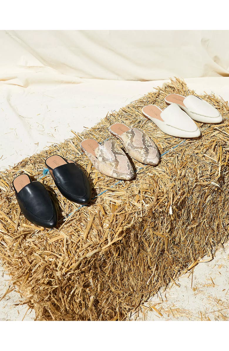 Madewell Frances Skimmer Mule, Alternate, color,