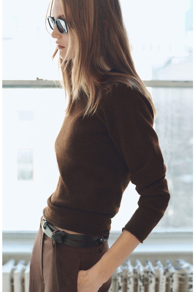 Crewneck Sweater, Alternate, color, BROWN