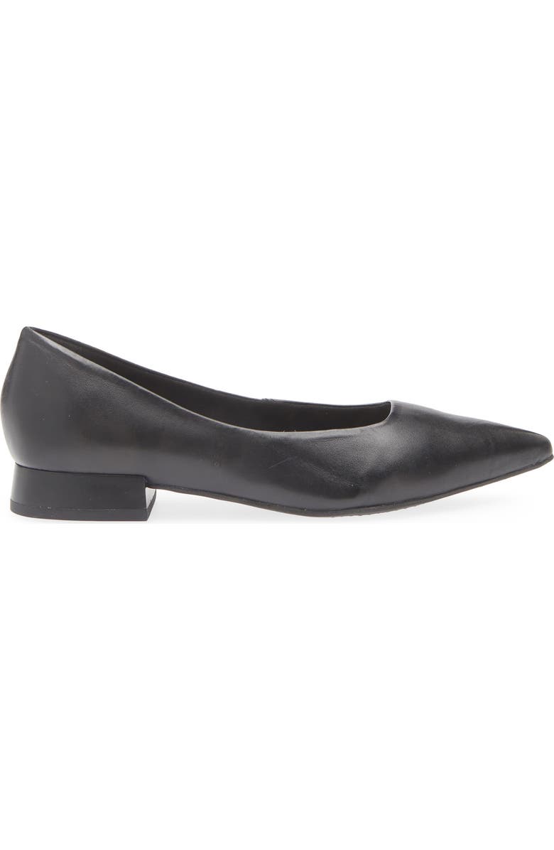 Bottero Alessandra Pointed Toe Ballet Flat, Alternate, color, Preto