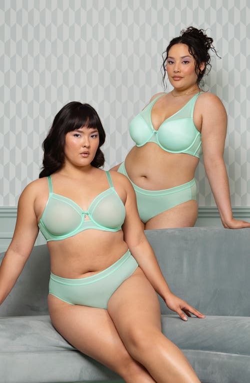 Curvy Couture Underwire Plunge Bra In Mint Chip