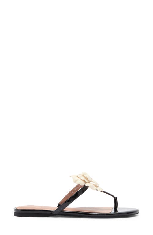 Linea Paolo Laurel Flower Sandal