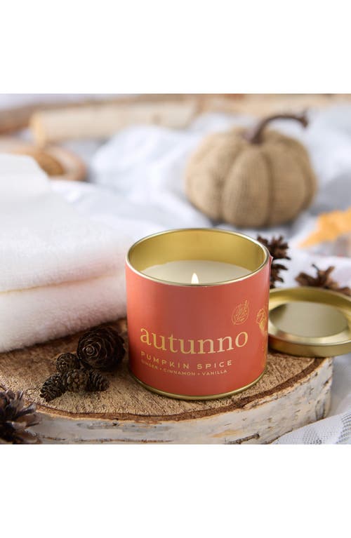 Via Mercato Autunno Pumpkin Spice Candle In Multi