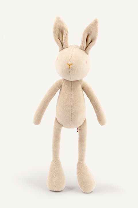 Daniel, the rabbit stuffed animal