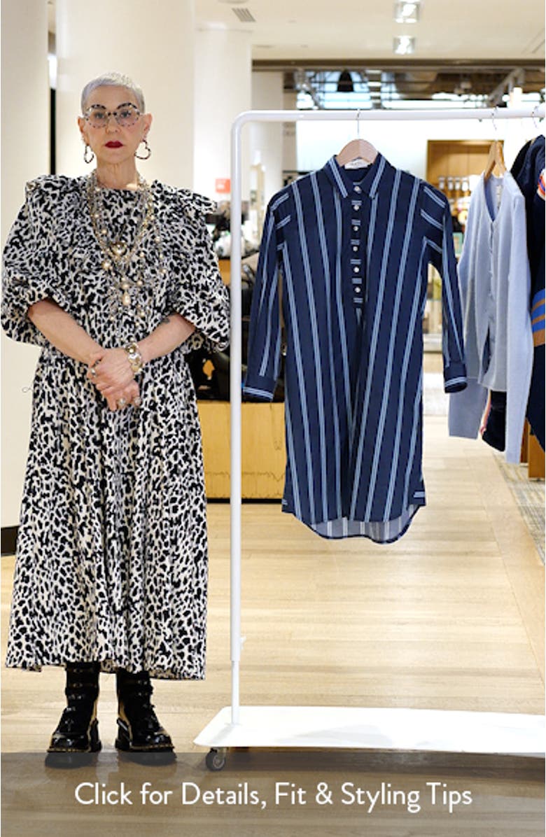 Classic Stripe Long Sleeve Shirtdress, sales video thumbnail