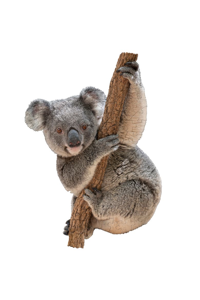 I Am Lil' Koala 100 Pieces Animal Shaped Jigsaw Puzzle, Multi, Alternate, color, Multicolored