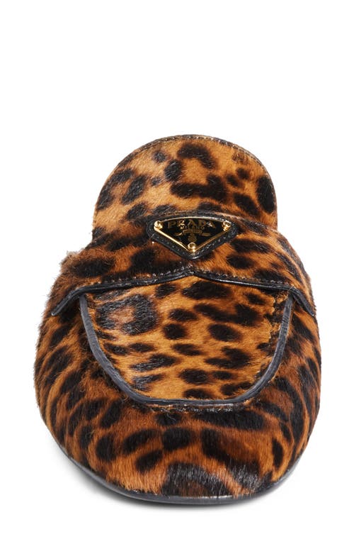 Prada Leopard-print Leather Mules