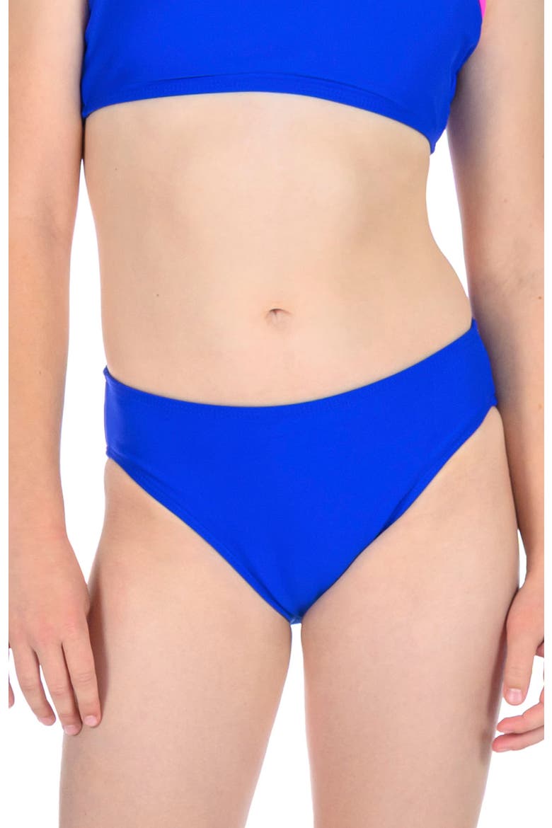Blue Raspberry Bikini Bottom, Main, color, Blue Raspberry