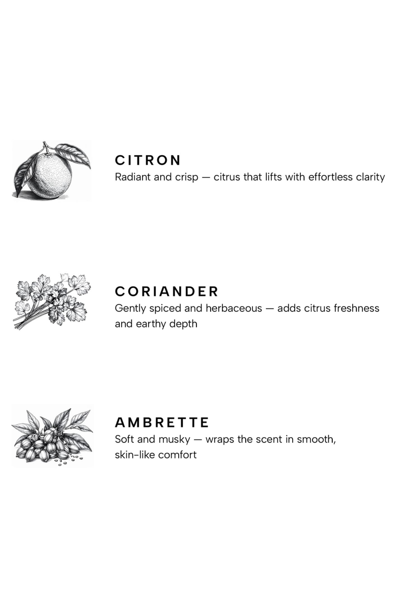 YANKEE CANDLE Citron Premium Scented Candle, Alternate, color, White