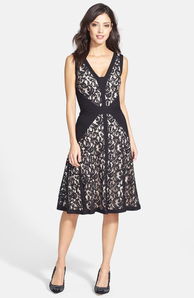 Tadashi Shoji Lace & Jersey Fit & Flare Dress, Alternate, color, 