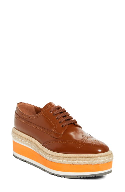 Prada Spazzolato Re-edition Platform Wingtip Loafers In Tabacco