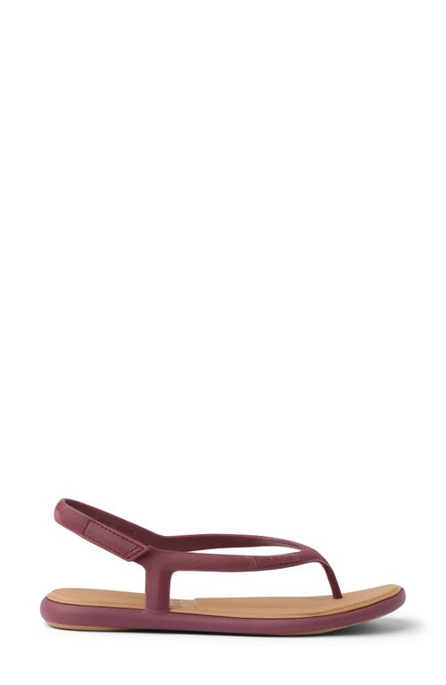 Reef Water Willow Maya Slingback Sandal In Burgundy