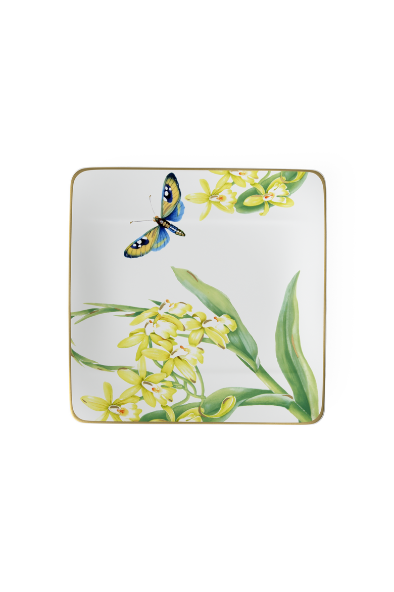 Amazonia Salad Plate, Main, color, white
