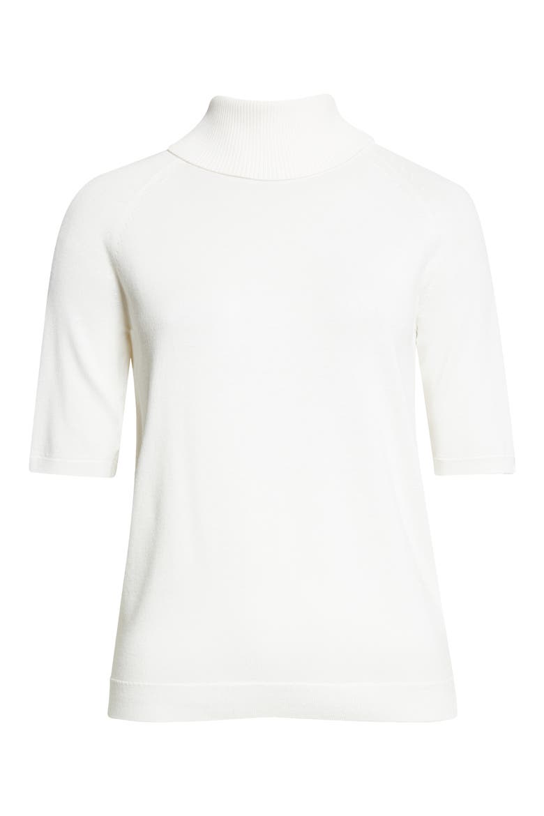 Raglan Sleeve Turtleneck Sweater, Alternate, color, CLOUD