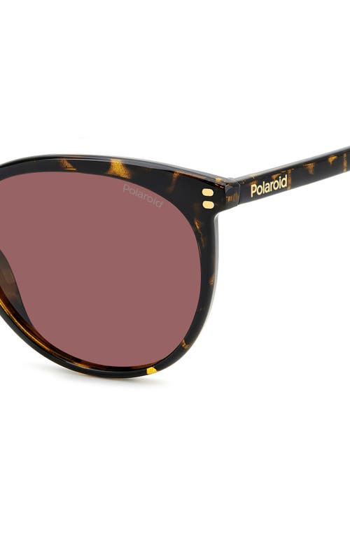 POLAROID POLAROID 55MM POLARIZED CAT EYE SUNGLASSES