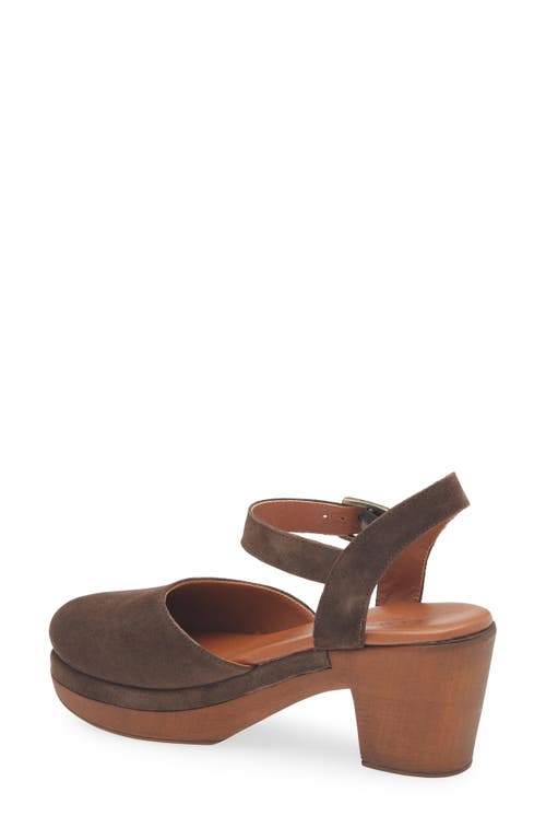 Cordani Warner Ankle Strap Platform Clog In Brown