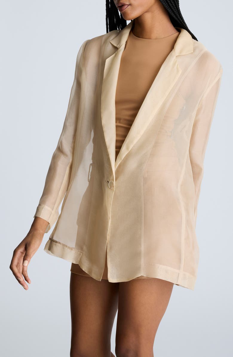 Kenneth Cole Organza Blazer, Alternate, color, Beige Bronze
