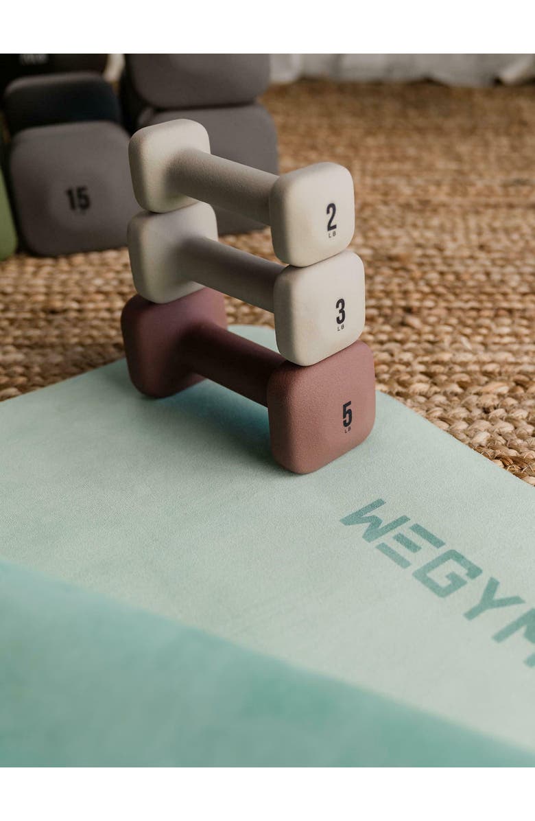 WeGym SafeGrip Dumbbells, Alternate, color, Rose