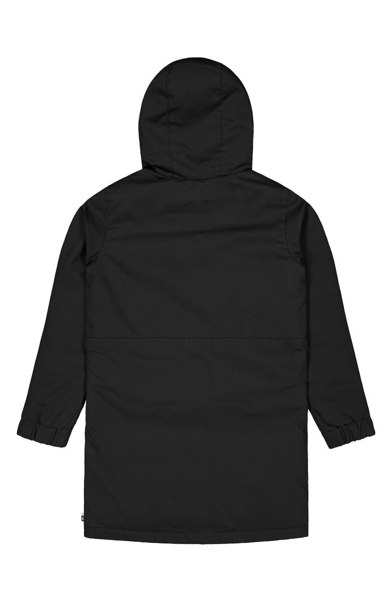 Picture Organic Clothing Dyrby Water Repellent Hooded Jacket, Alternate, color,