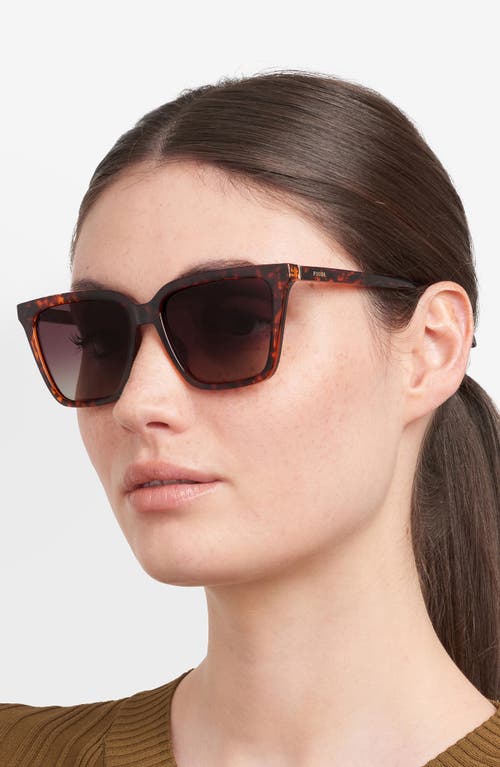 Fossil 56mm Square Sunglasses In Brown