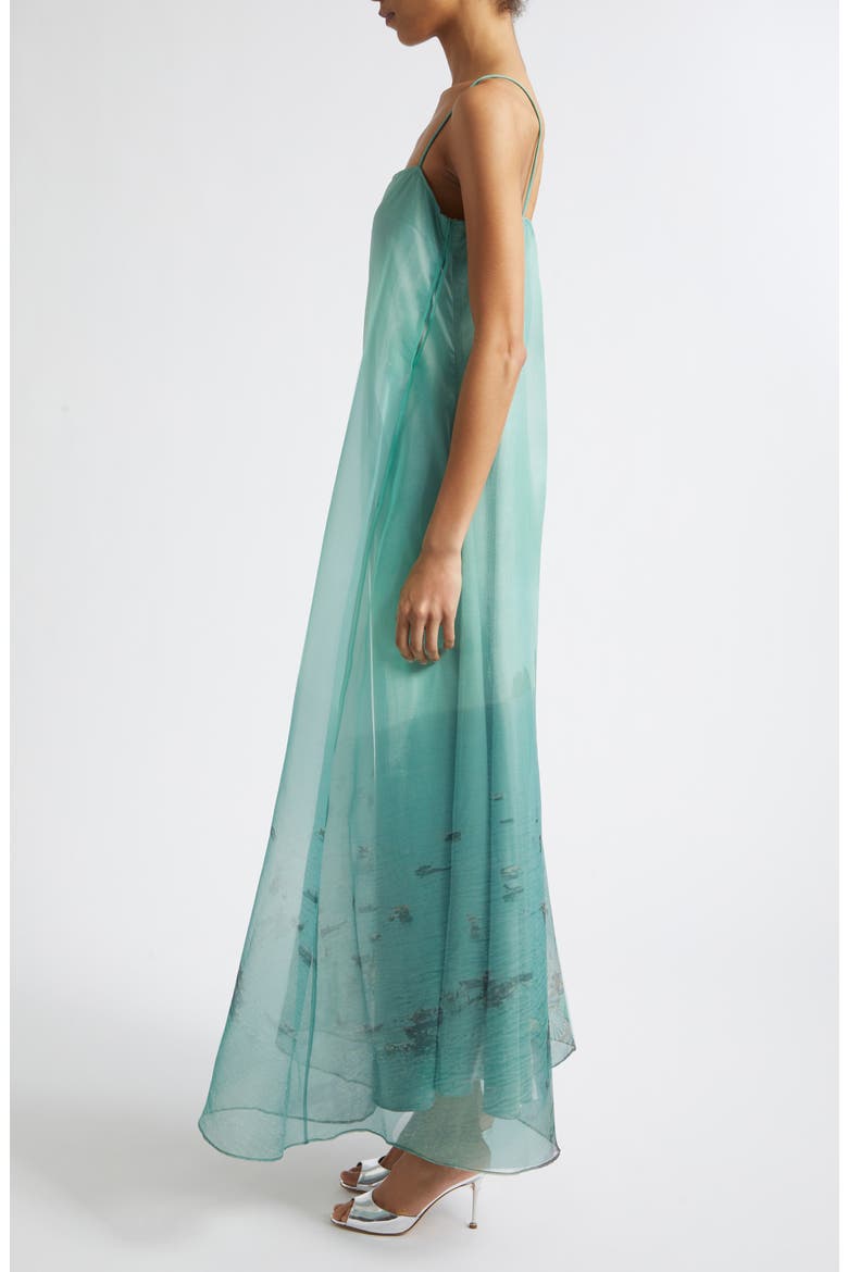 Delfina Print Organza Maxi Dress, Alternate, color, ENDLESS SUMMER