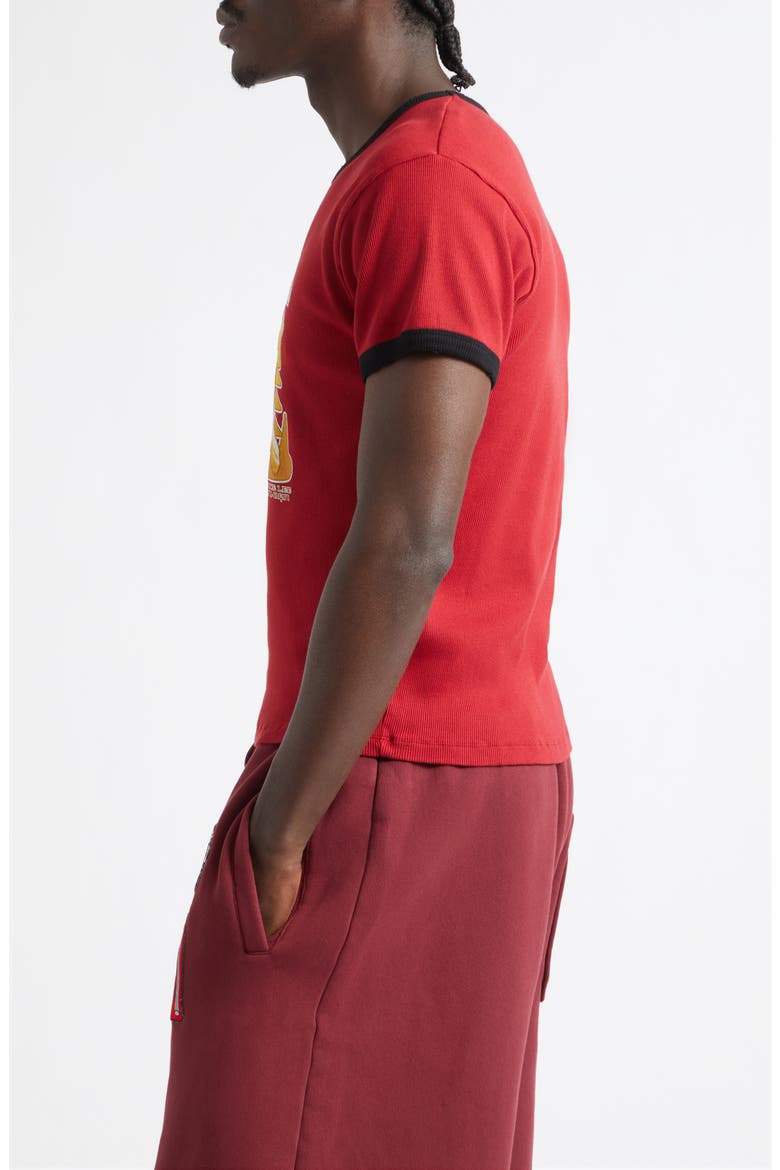 Bruce Lee Rib Cotton Ringer T-Shirt, Alternate, color, CHILLI