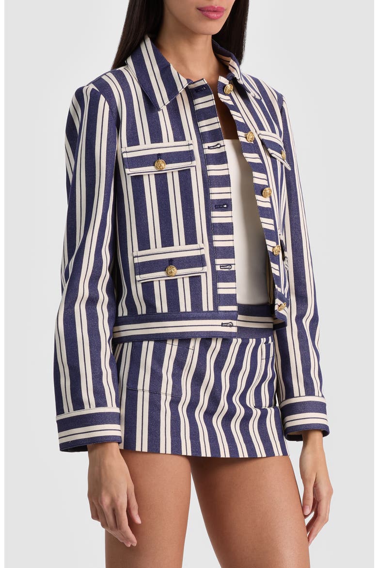 Alex Stripe Boxy Jacket, Alternate, color, METRO STRIPE TWILIGHT BLUE