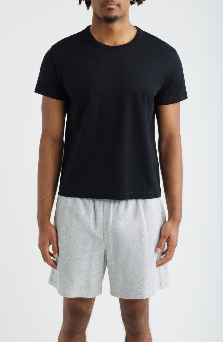 BP. Shrunken T-Shirt, Main, color, Black