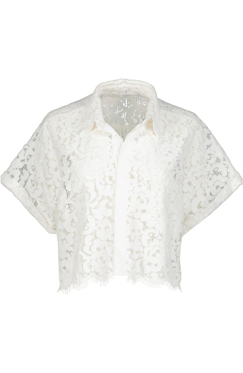 Bishop + Young Josephine Lace Top, Alternate, color, Salt