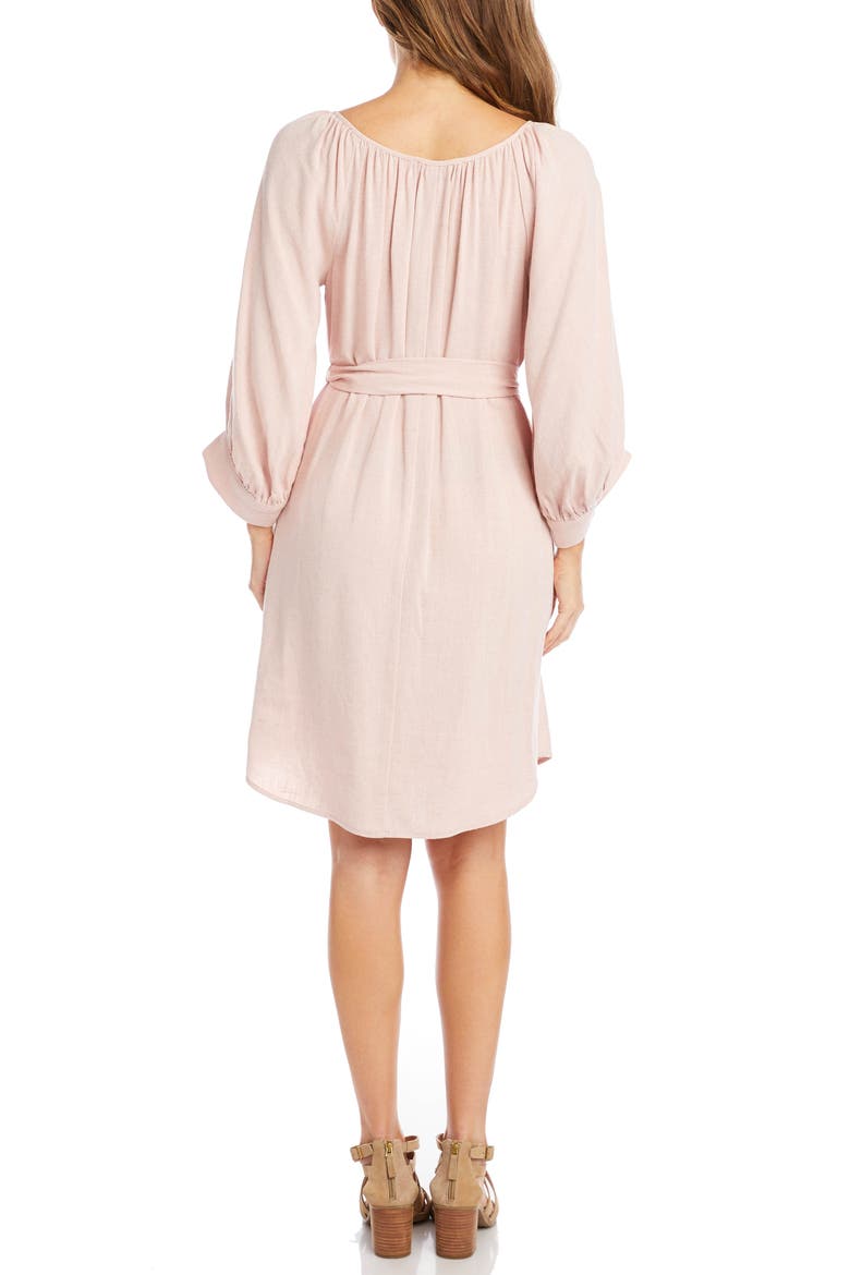 Blouson Sleeve Dress, Alternate, color, ROSE
