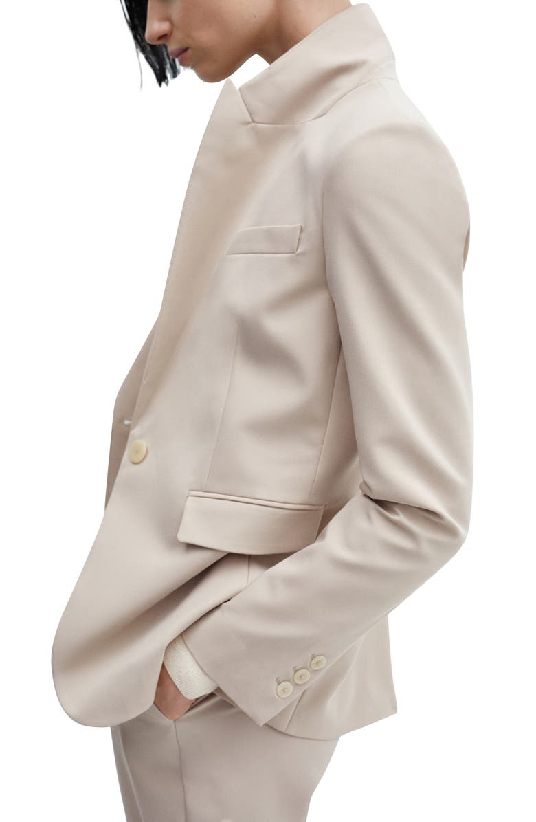 MANGO Fitted Suit Blazer, Alternate, color, 