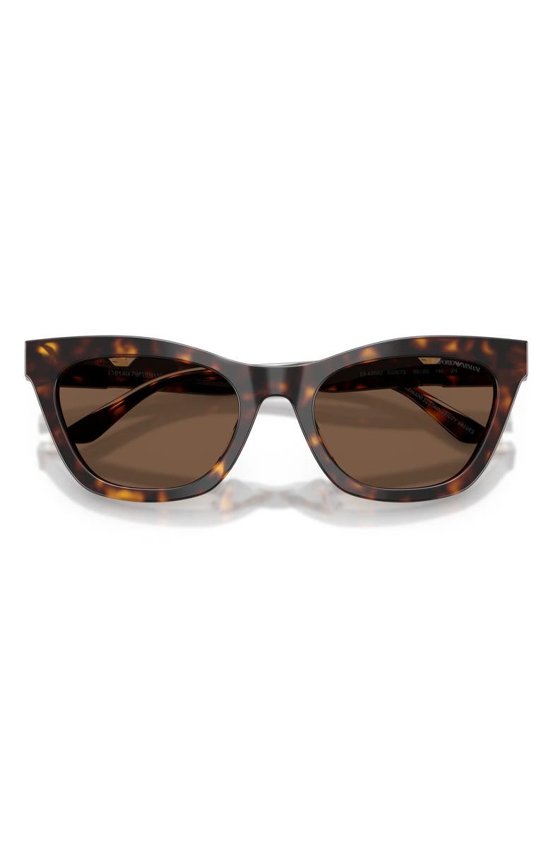 Emporio Armani 55mm Cat Eye Sunglasses, Alternate, color, Shiny Havana / Brown