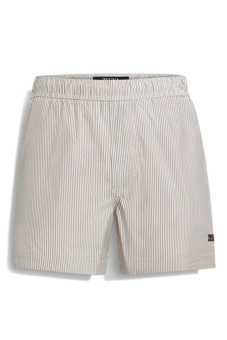 Pinstripe Swim Trunks, Alternate, color, WHITE STRIPED