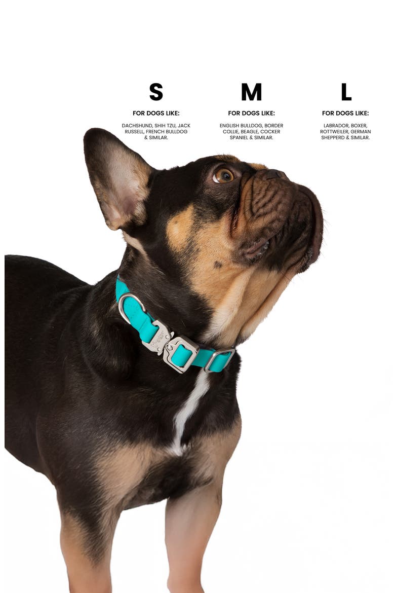 Waterproof Poly-Flex Sport Dog Collar, Alternate, color, Green