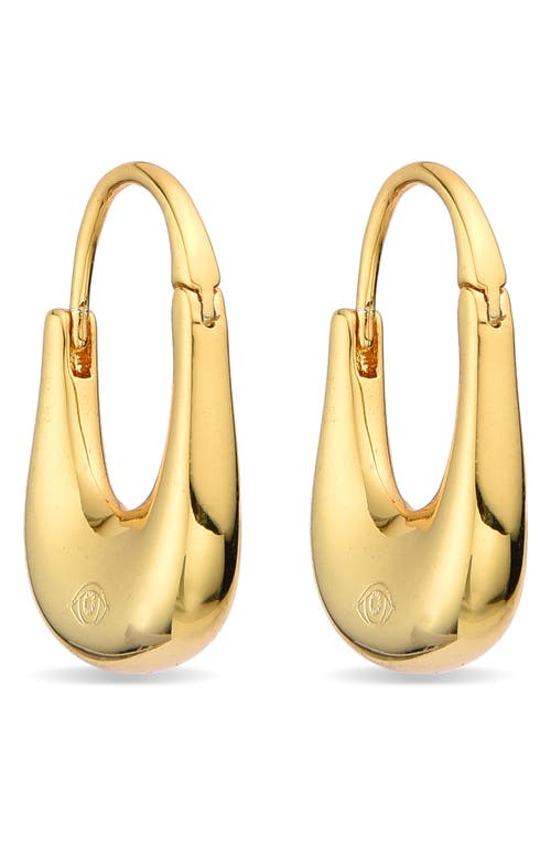 Eye Candy Los Angeles Oceane Gradient Hoop Earrings