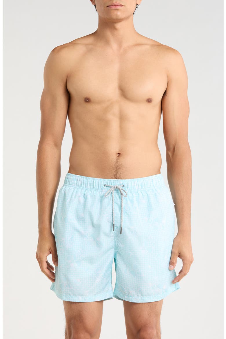 Ponji Printed Volley Swim Shorts, Main, color, MINT