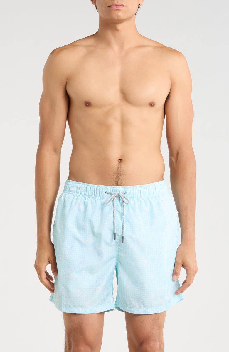 Vintage Summer Ponji Printed Volley Swim Shorts, Main, color, Mint