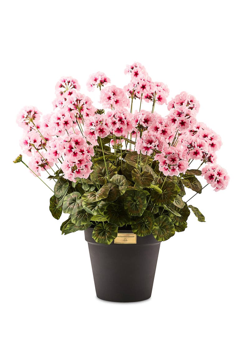 Pink Geranium Urn Filler, Main, color, PINK