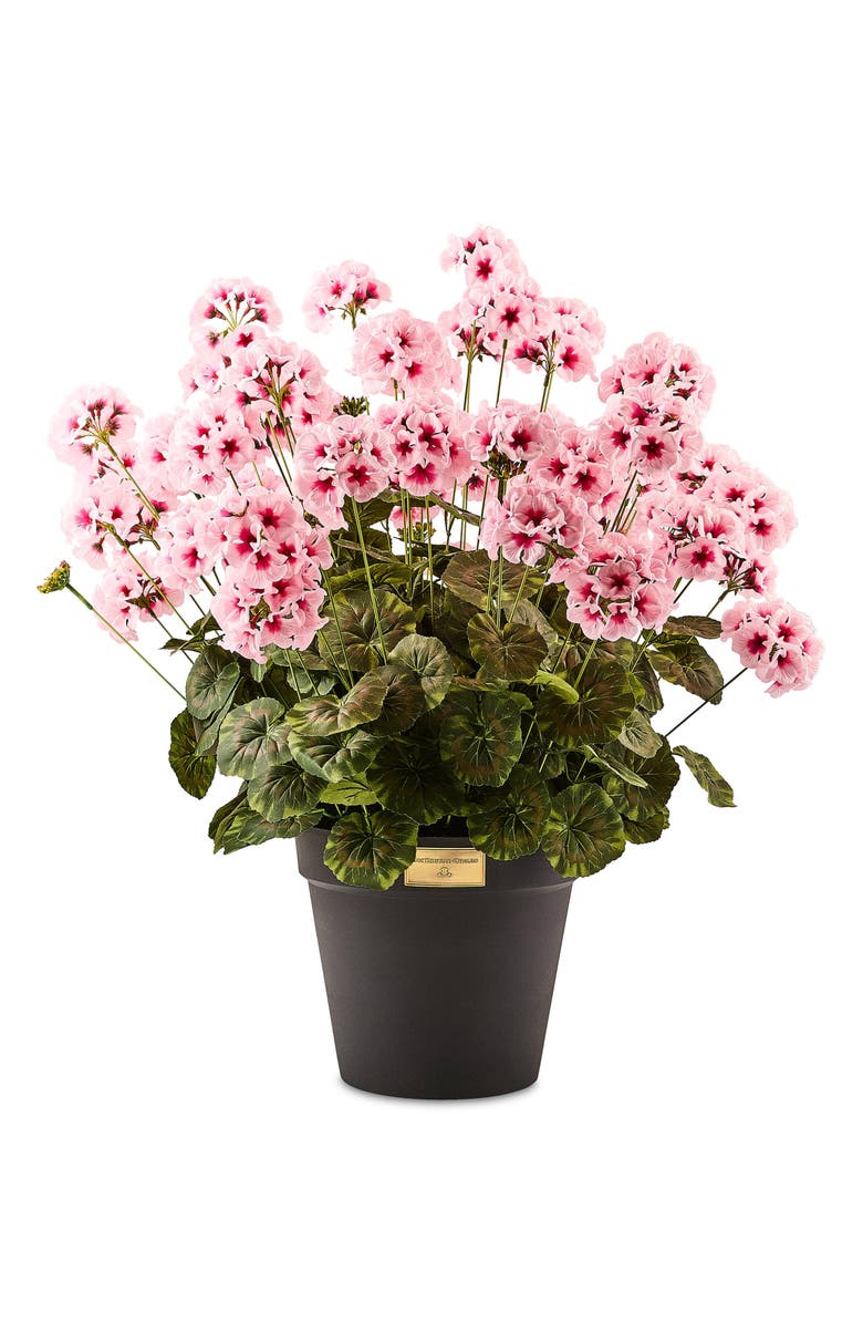 MACKENZIE CHILDS Pink Geranium Urn Filler, Main, color, Pink