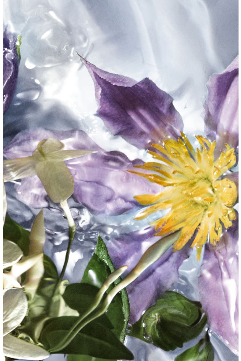 Aqua Allegoria Flora Salvaggia Wildflower Eau de Toilette, Alternate, color, NO COLOR
